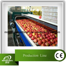 Línea de producción automática de zumo de manzana Power